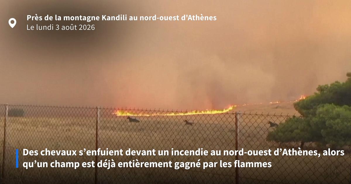 Grèce: des chevaux prennent la fuite face aux flammes près d’Athènes