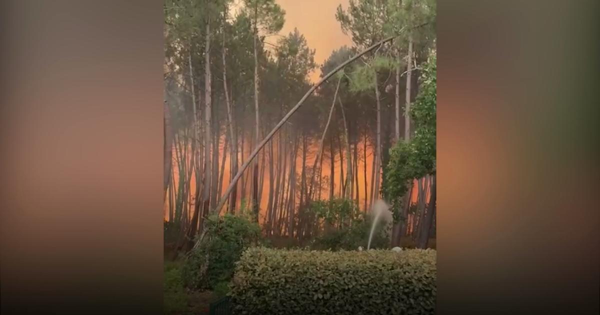 Gironde : les flammes progressent et atteignent des habitations à Lège-Cap-Ferret