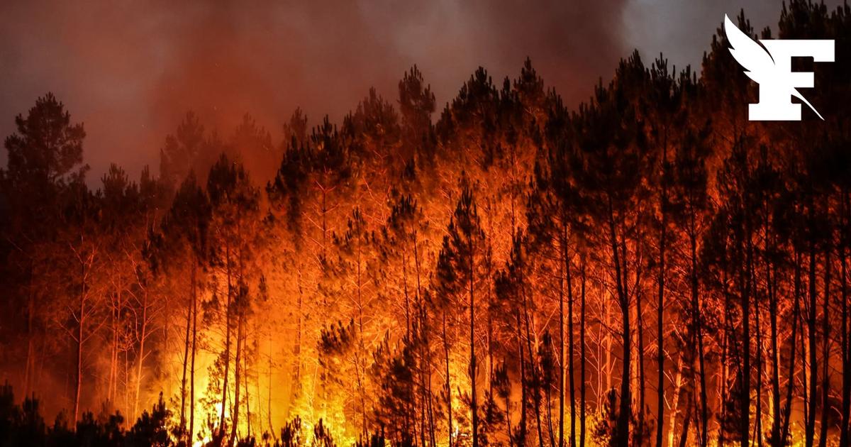 Incendies : Le mégafeu en Gironde reste stabilisé ce jeudi 30 juillet