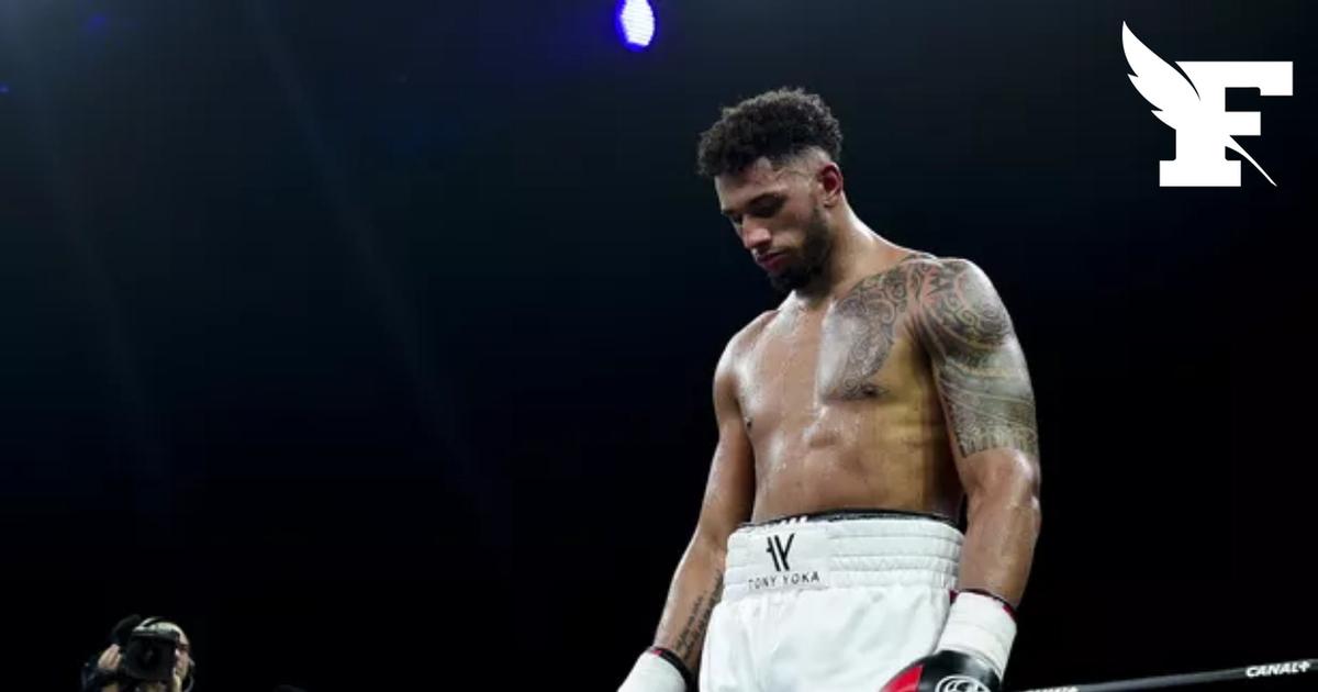 Boxe: «Tu es venu en touriste petit Tintin» : Tony Yoka pris à partie par Martin Bakole, champion congolais