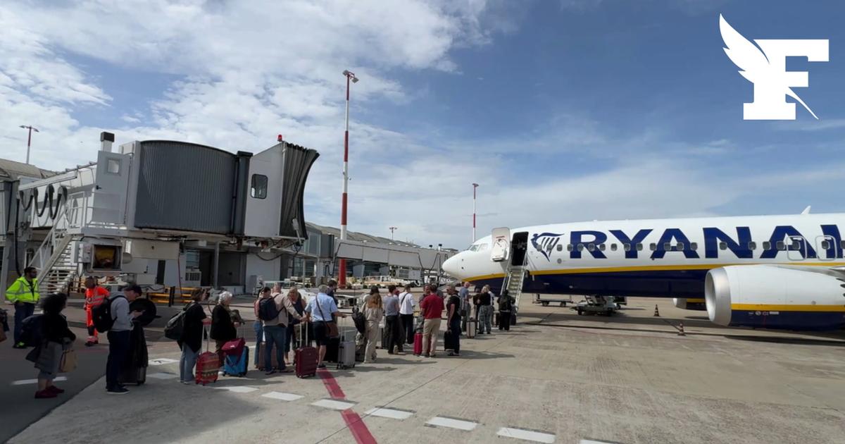 Le bénéfice de Ryanair est en fort recul suite à l'amende italienne de 255 millions d'euros