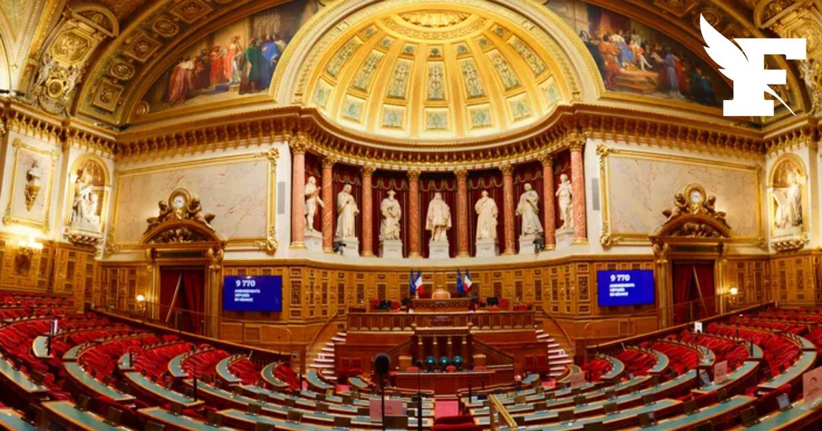 Le Sénat adopte une proposition de loi renforçant l'accès aux soins palliatifs, l'un des deux textes de la réforme de la fin de vie