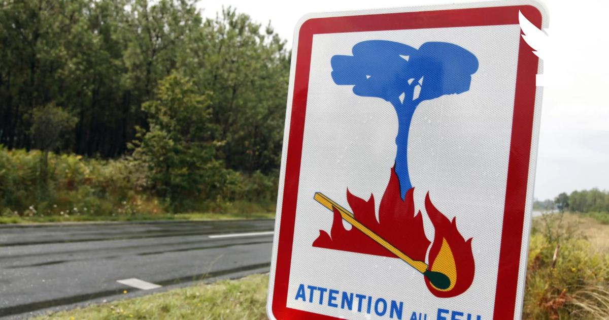 Plusieurs personnes interpellées après des incendies dans la Loire