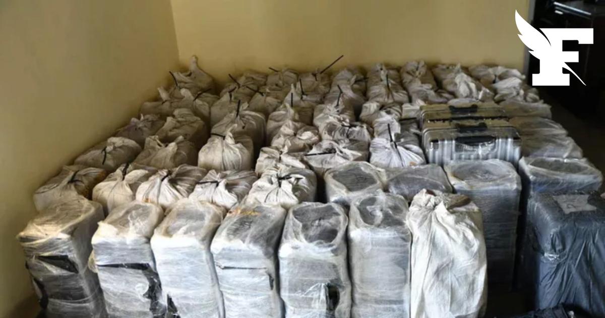 Une embarcation transportant plus de 2,6 tonnes de cocaïne d'une valeur d'environ 500 millions d'euros interceptée au large du Portugal