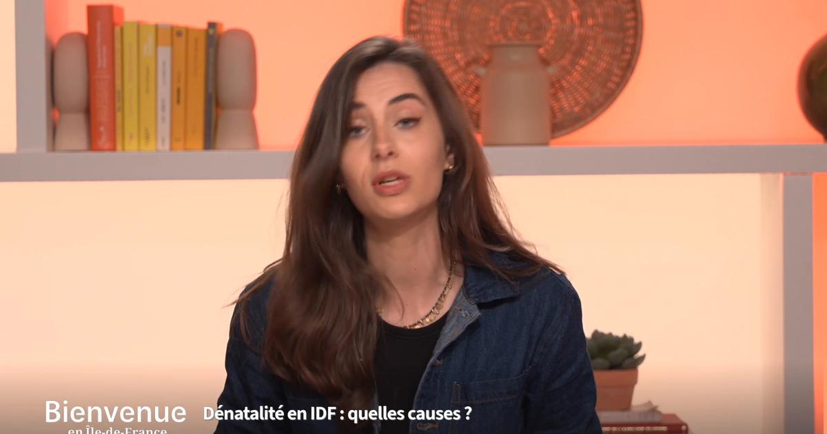 Rythme de vie, logement, infertilité : pourquoi Paris n'a plus de bébé ?
