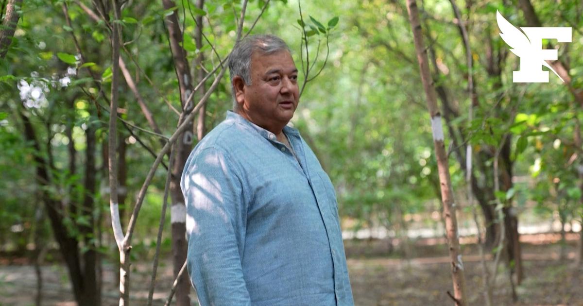 Inde: qui est «Peepal Baba», passionné d'arbres qui lutte pour reforester son pays ?