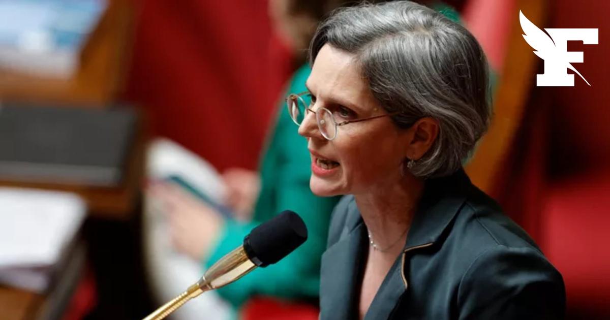 Sandrine Rousseau estime que la multiplication des canicules et des incendies sont le signe d'un «effondrement qui commence»