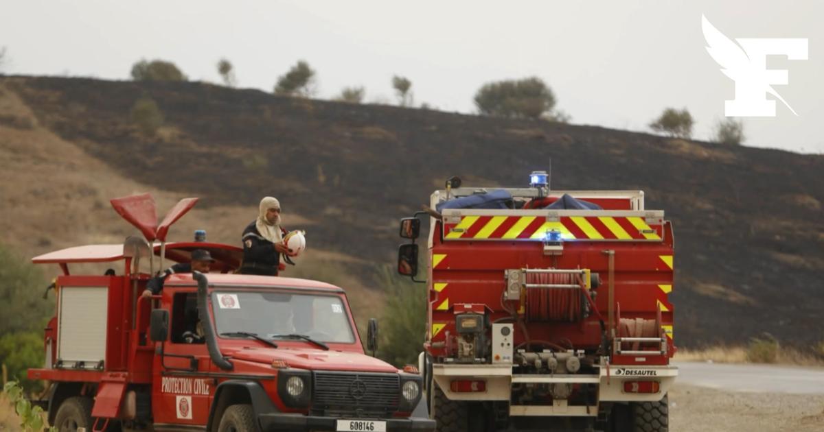 Algérie : un volontaire décède dans les incendies qui ravagent le nord du pays