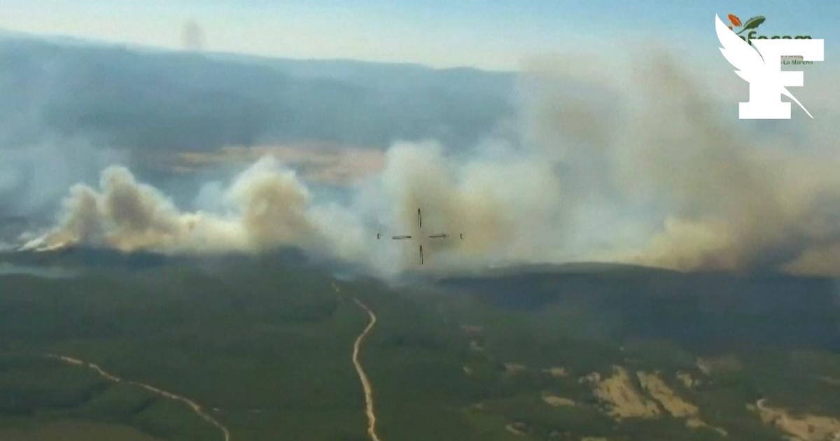 Espagne : les images de l'incendie qui a déjà ravagé 12.000 hectares au nord de Madrid