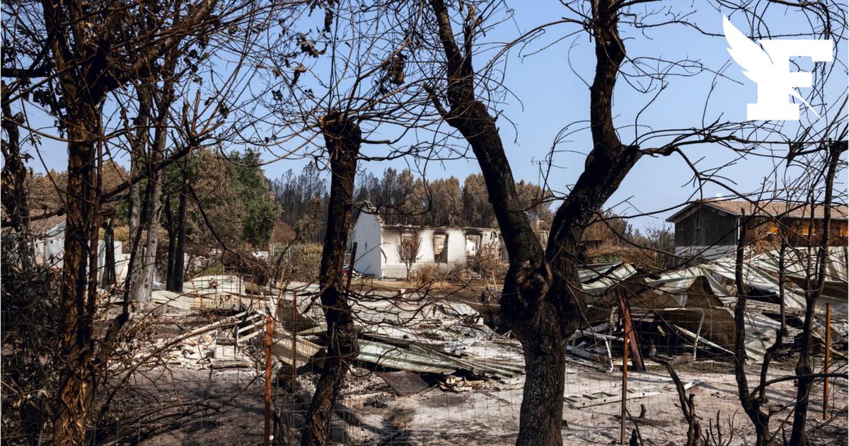 Incendies : les dégâts engendrés par le feu cet été devraient coûter près de 500 millions d'euros