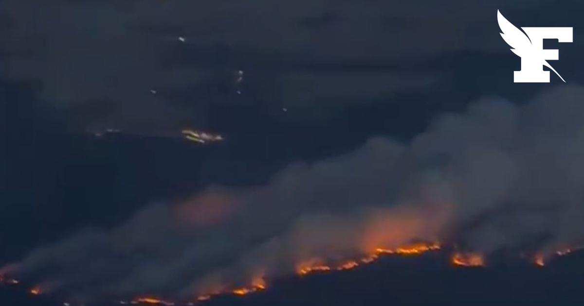 Les images impressionnantes de l'incendie qui ravage actuellement la forêt de Fontainebleau