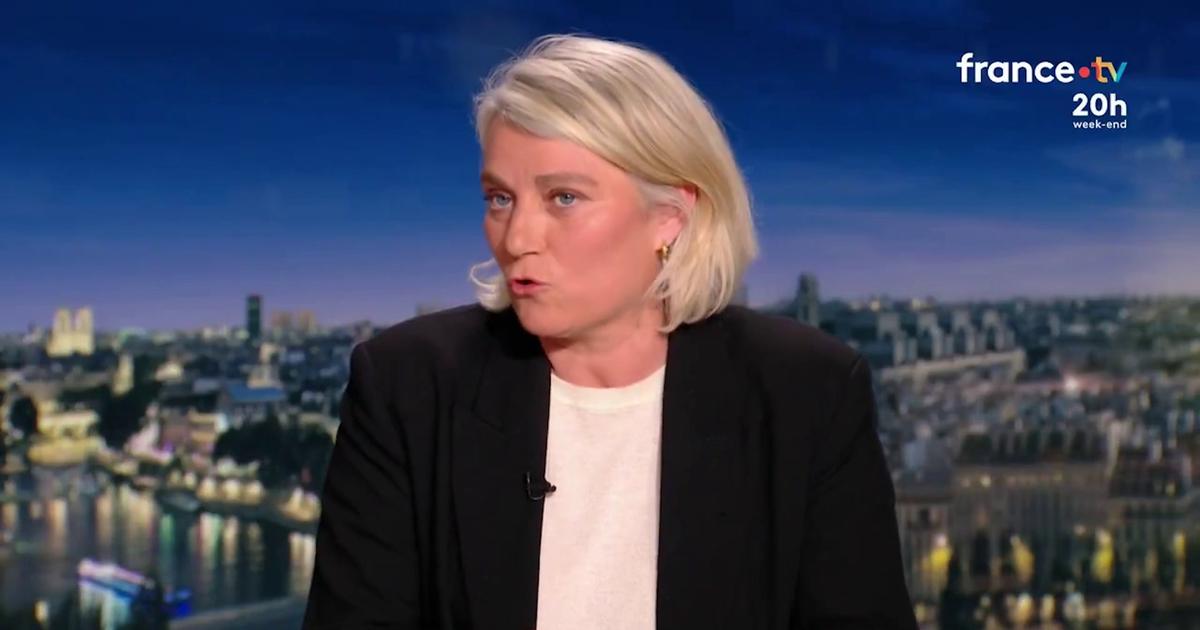Hantavirus: les résultats du test du Français qui présente des symptômes seront connus «dans 24 heures», indique la ministre de la Santé