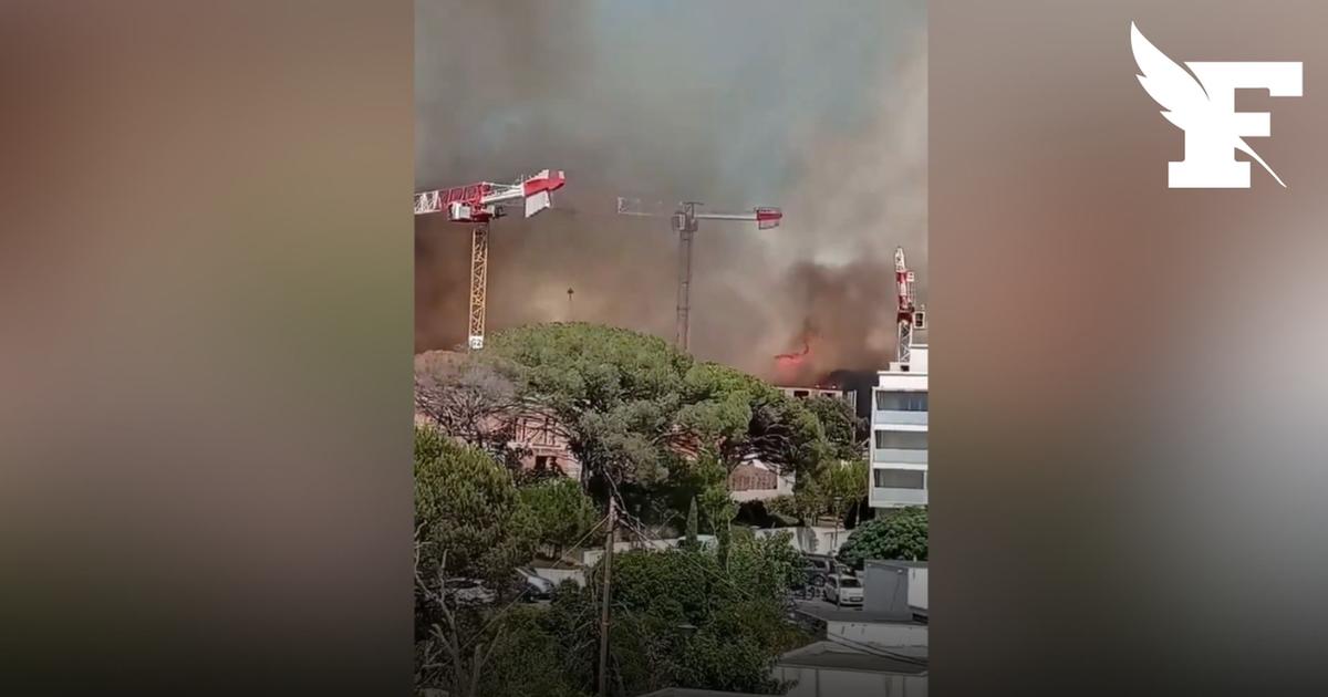 Les images des panaches de fumée dégagés par l'incendie de Fréjus, qui décime des centaines d’hectares