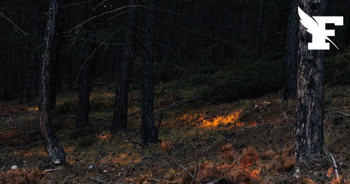 Lot : un adolescent de 16 ans a reconnu être à l'origine de cinq départs de feu