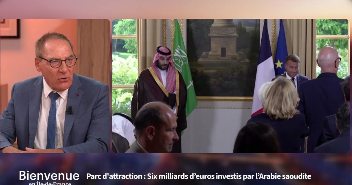 Parc d'attractions financé par l'Arabie saoudite en France : bonne nouvelle ?
