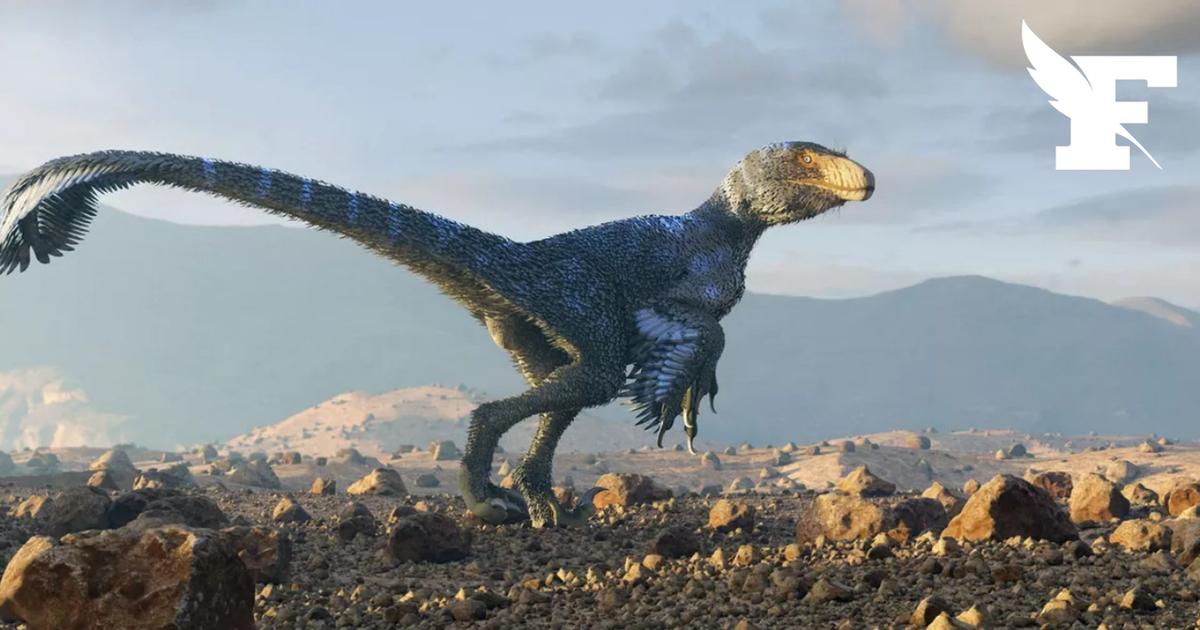 Un nouveau dinosaure à piquants découvert en Chine