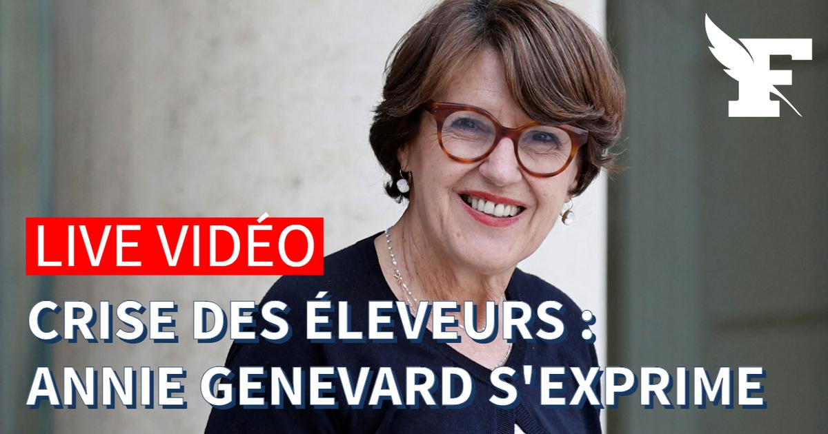 Agriculture: suivez en direct la prise de parole d’Annie Genevard au Salon de l’élevage de Rennes