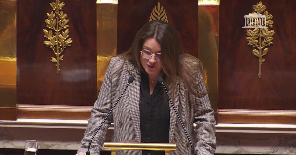 Les motions de censure ont «englouti pas moins de 150 heures de débats», peste une députée macroniste