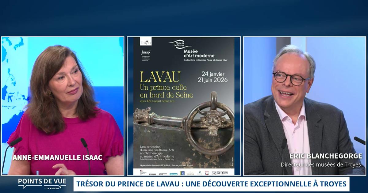 Trésor du prince de Lavau : une découverte exceptionnelle à Troyes - Le récit d'Éric Blanchegorge