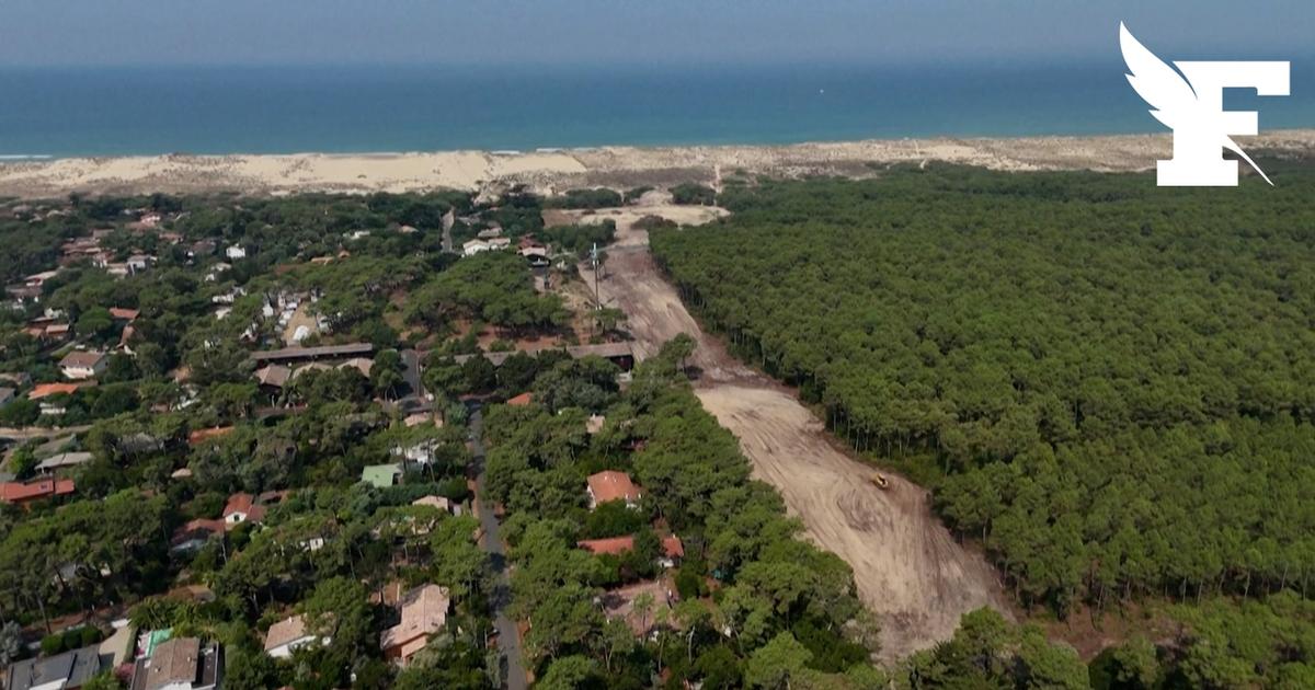 Pour protéger le Cap Ferret, un Girondin construit son propre pare-feu à l’aide d’engins de chantier