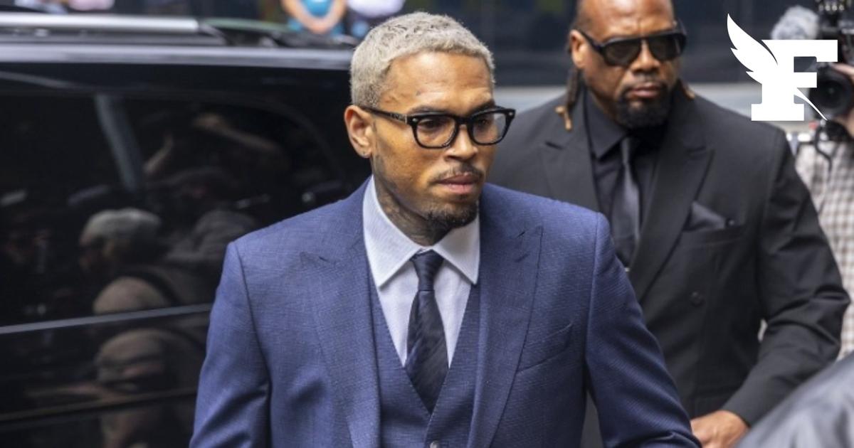 Chris Brown doit payer 13 millions de dollars à sa femme de ménage attaquée par un chien