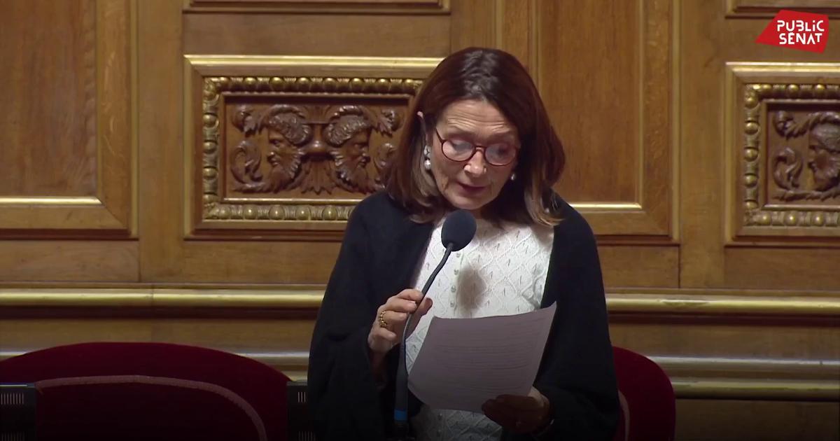 Fin de vie : coup de théâtre au Sénat, où le cœur du texte sur l’aide à mourir a été rejeté