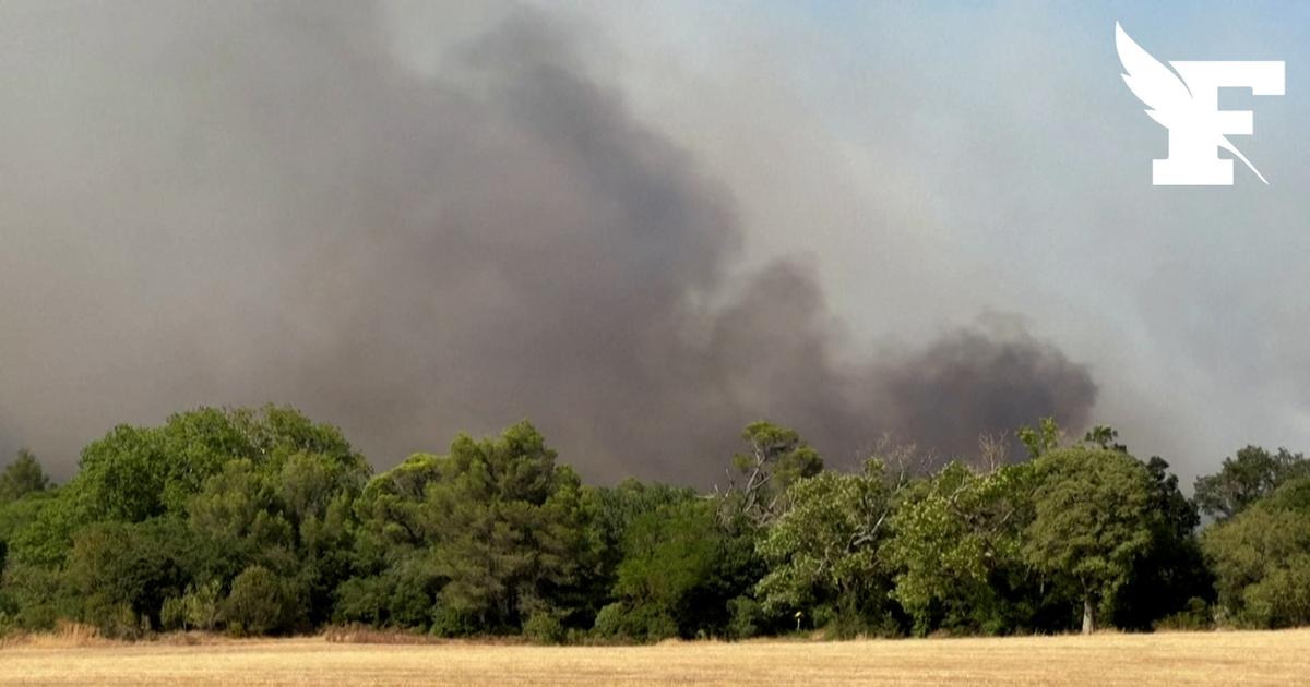 Les images de l'incendie qui a déjà ravagé une centaine d'hectares près de Carcassonne