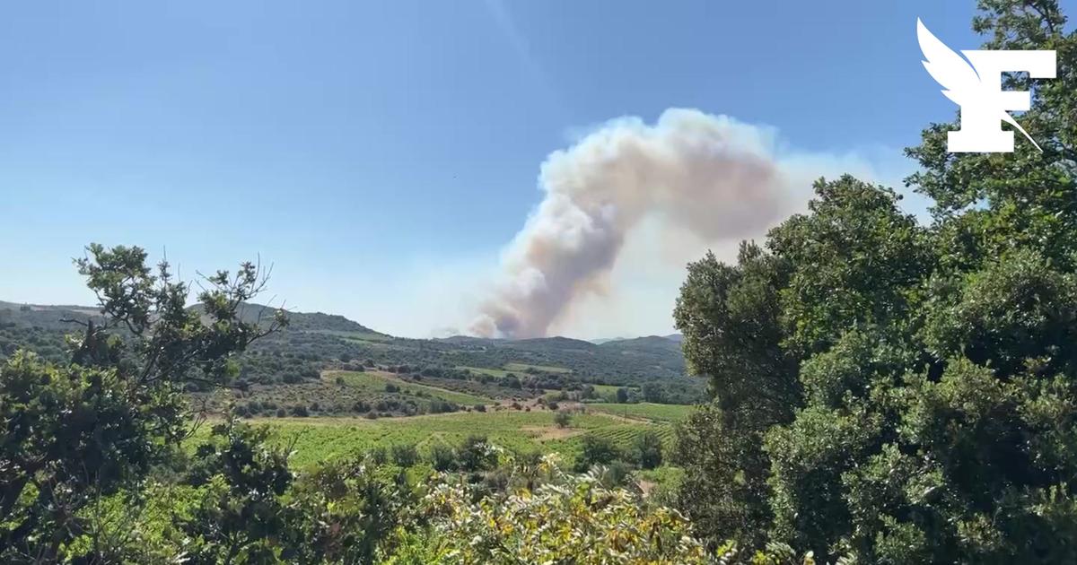 Les images du nouvel incendie dans les Pyrénées-Orientales, qui a déjà parcouru près de 1.000 hectares