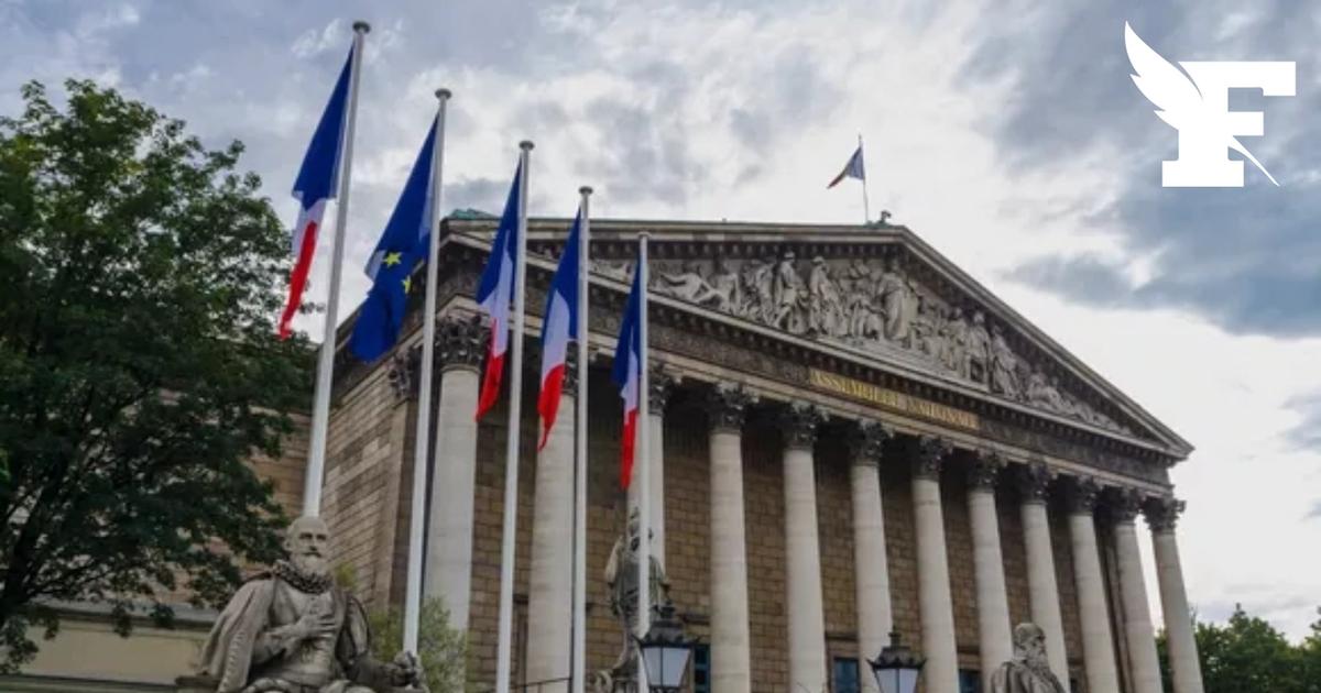 Alimentation : l'Assemblée nationale vote l'interdiction de l'hexane dès 2027