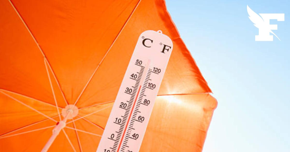 Les gestes et astuces à connaître en période de canicule