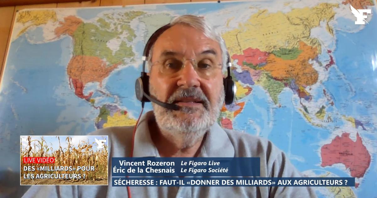 «Il n'y a pas une production qui ne subit pas la sécheresse» : le journaliste Eric de la Chesnais explique pourquoi cette sécheresse est inédite