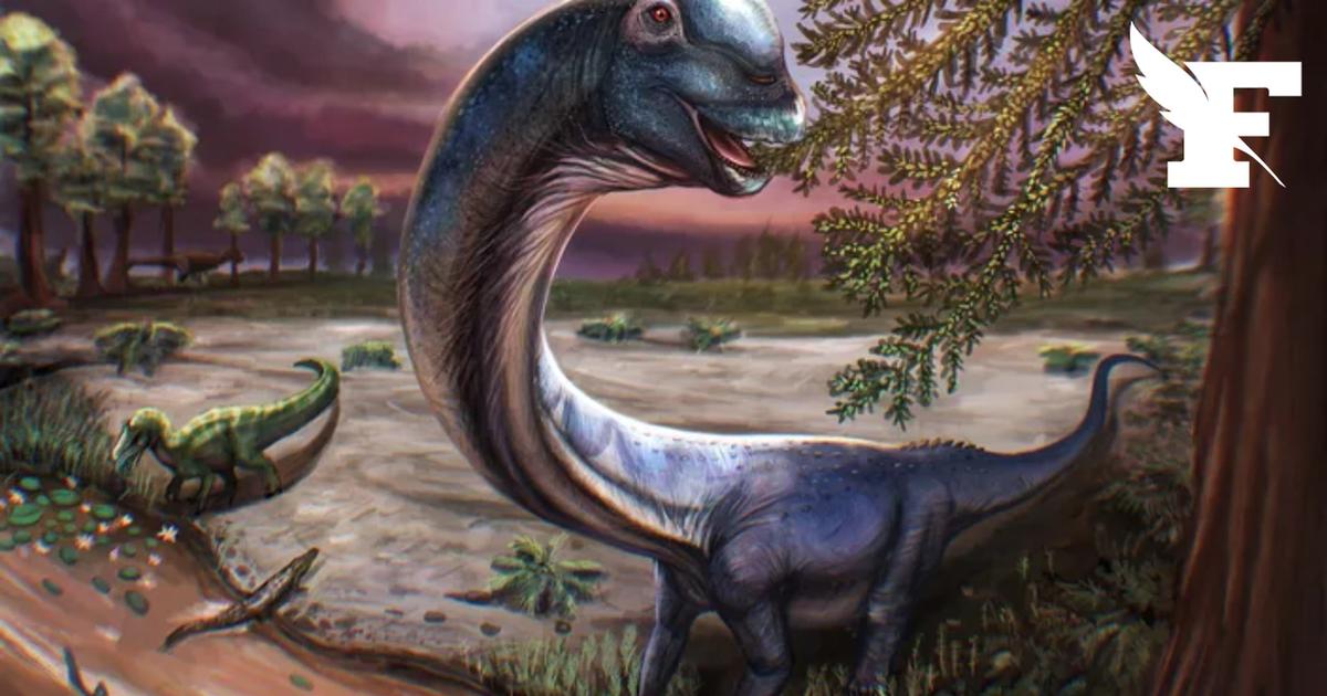 Qu'est ce que le «Nagatitan», ce dinosaure gigantesque découvert par des scientifiques ?