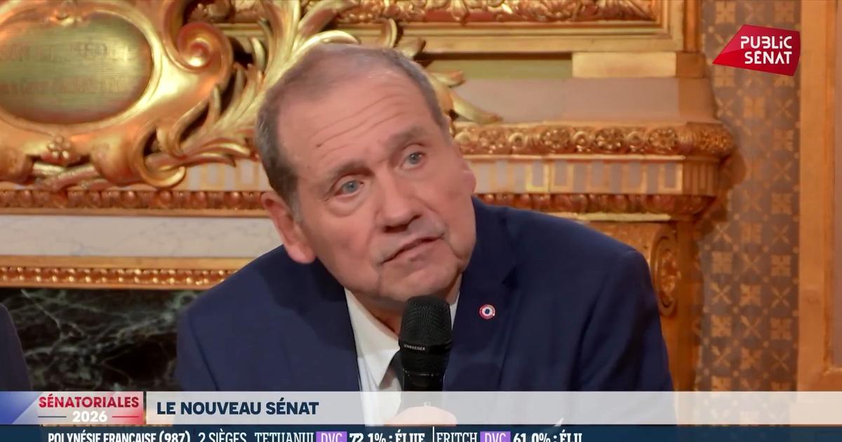 «La majorité sénatoriale, on en parle peu, elle a gagné»: le sénateur LR Max Brisson relativise la percée du RN