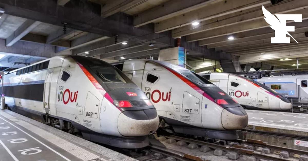 Abandon de la rénovation de la gare du Nord: la SNCF condamnée à verser 270 millions d’euros à une société contrôlée par la famille Mulliez