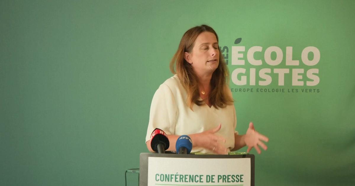 Incendies en Gironde: Marine Tondelier estime que «l'on doit passer en mode état d'urgence climatique»