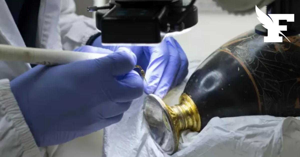 À quoi ressemble le trésor du prince de Lavau, qui a nécessité plus de 10 ans de restauration ?