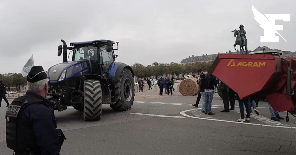 En commission, les députés adoptent le projet de loi d’urgence agricole