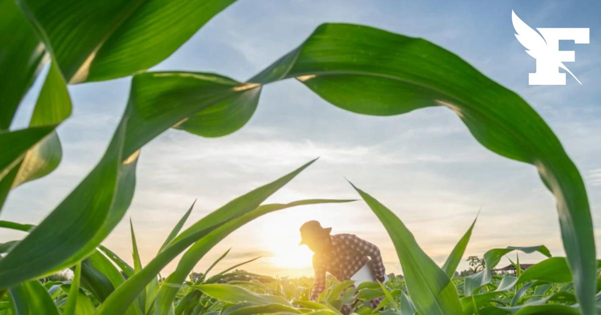 L’Humanité a consommé l’intégralité des ressources de la Terre pour l’année 2026