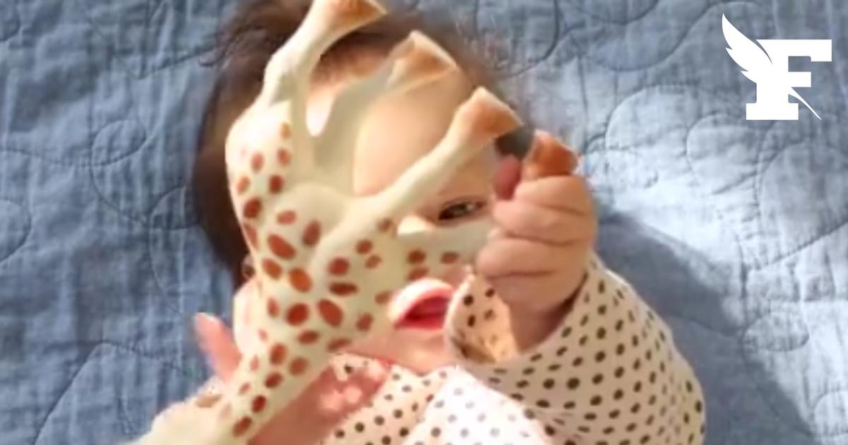 L'emblématique Sophie la girafe serait fabriquée en Chine, c'est ce que révèle l'enquête de Mediapart