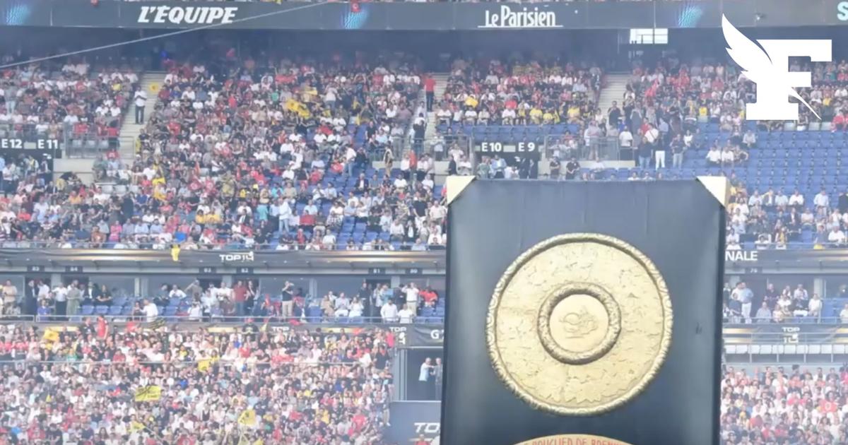 TOP 14 : quel est le bilan de la 24ᵉ journée ?