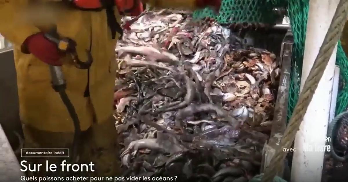 Hugo Clément enquête sur les terres polluées en France