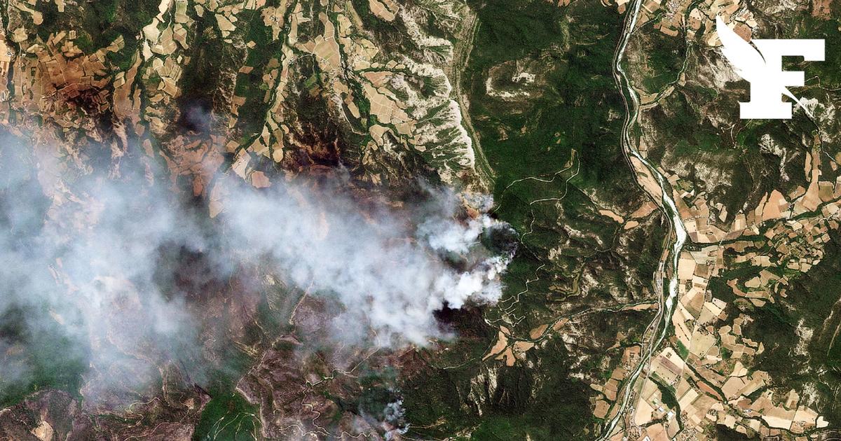 Dans la Drôme et l'Ardèche, l'ONF tente de reconstruire la forêt après l'incendie de juin dernier