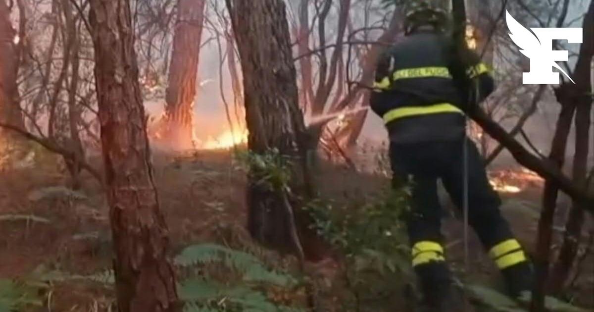 Italie : plus de 800 hectares de forêt ravagés par les flammes en Toscane