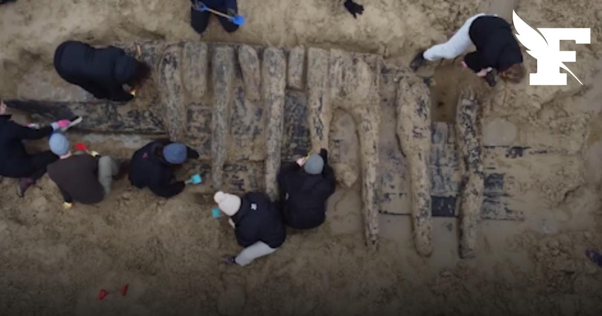 Royaume-Uni: des morceaux d'épaves d'un navire marchand du XVIIe siècle ressurgissent sur une plage