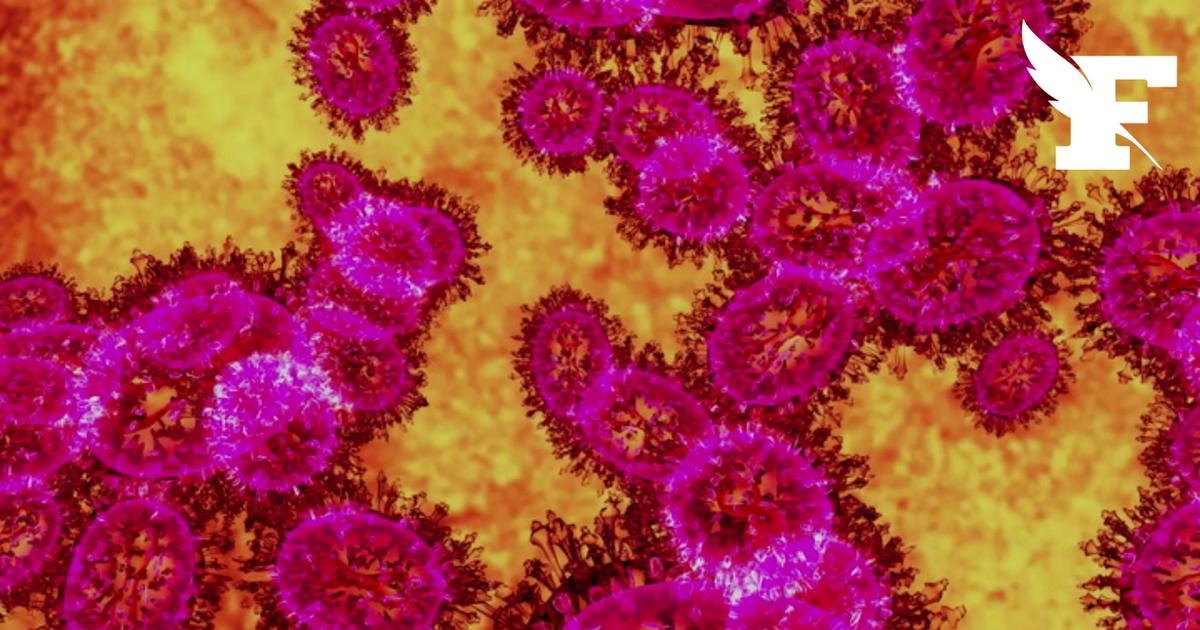 Ebola: deux potentiels malades placés à l’isolement au Brésil