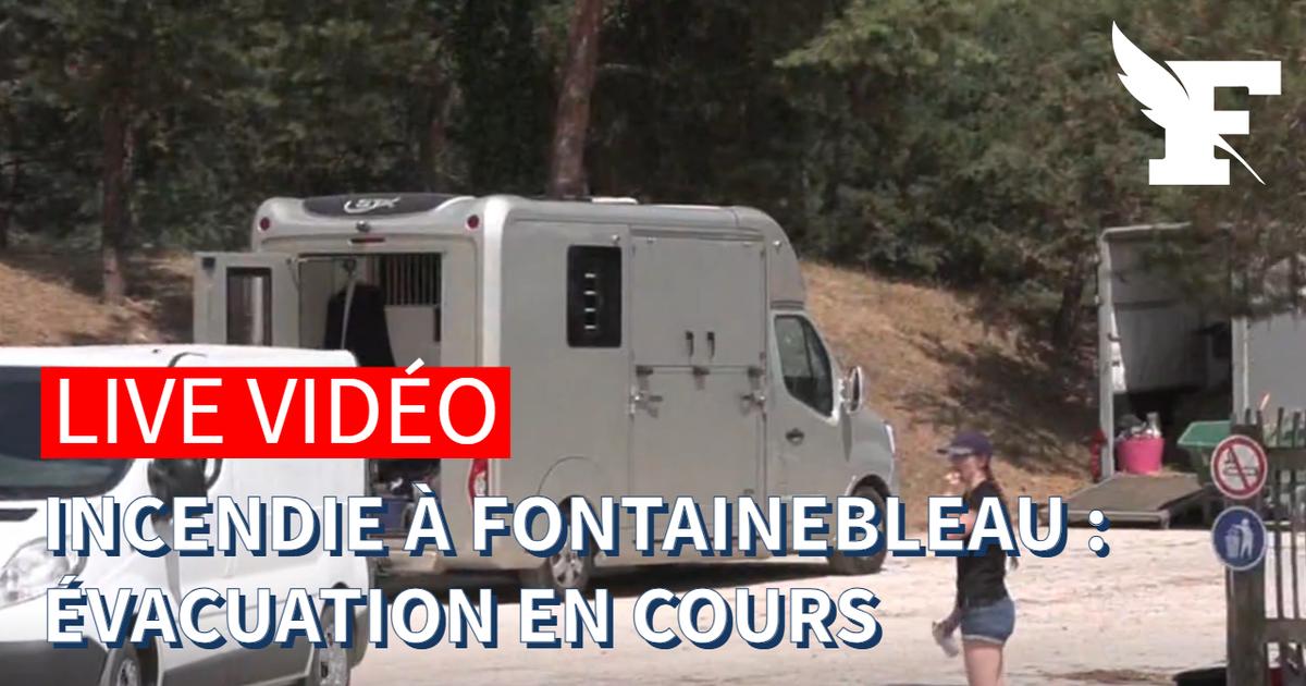 Forêt de Fontainebleau: le préfet de Seine-et-Marne tient un point presse sur les incendies