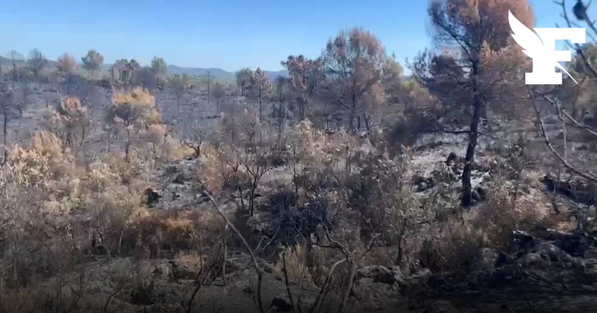 Incendies : dans le Var, la dangereuse lutte contre un incendie interminable