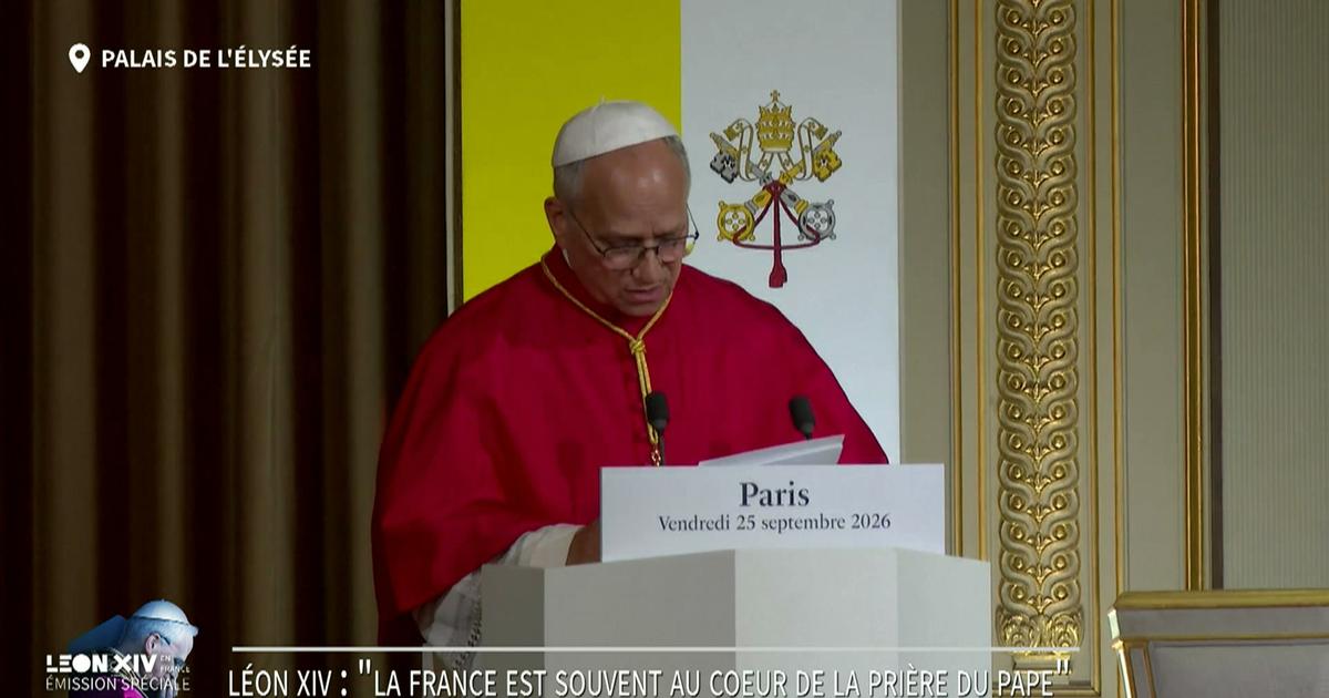 Le pape dénonce la GPA, les «manipulations génétiques» et «l’offre d’une mort programmée»
