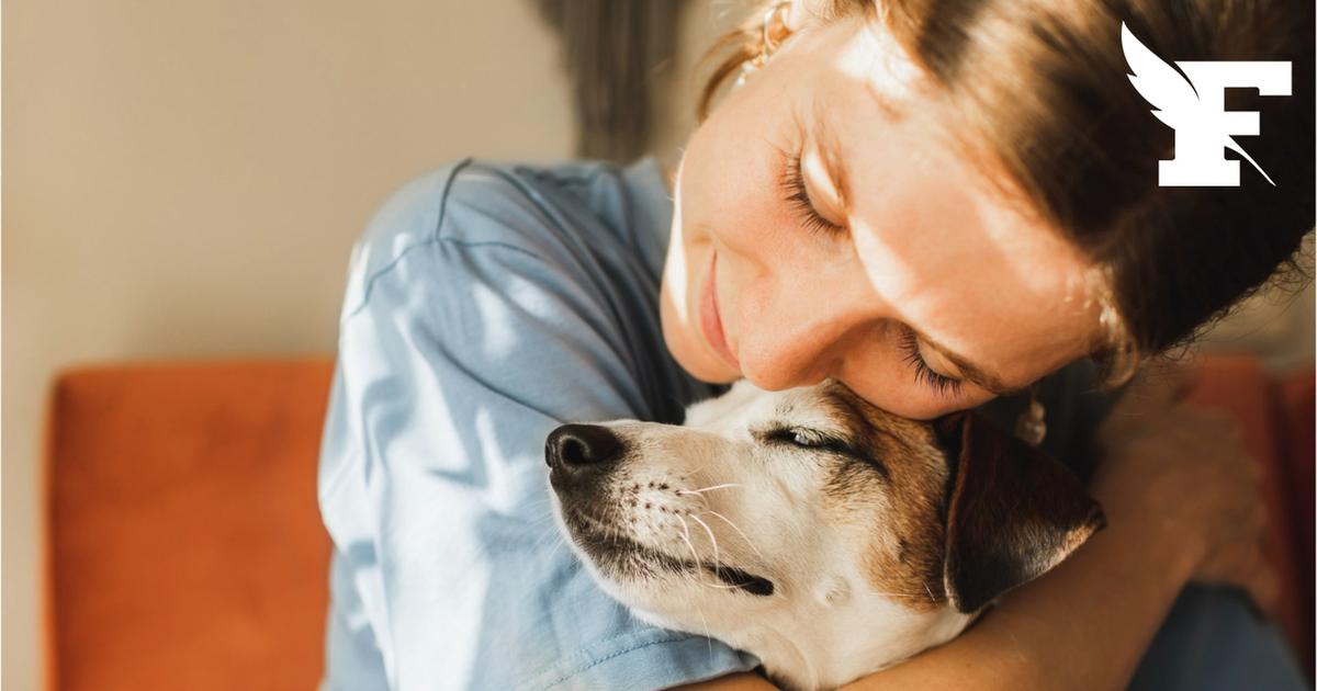 Colombie : une femme meurt en protégeant son chien aveugle lors du séisme