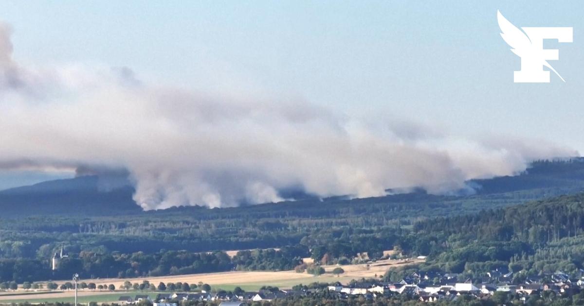 Allemagne : incendie dans l'Ouest, près de 300 personnes mobilisées pour combattre les flammes